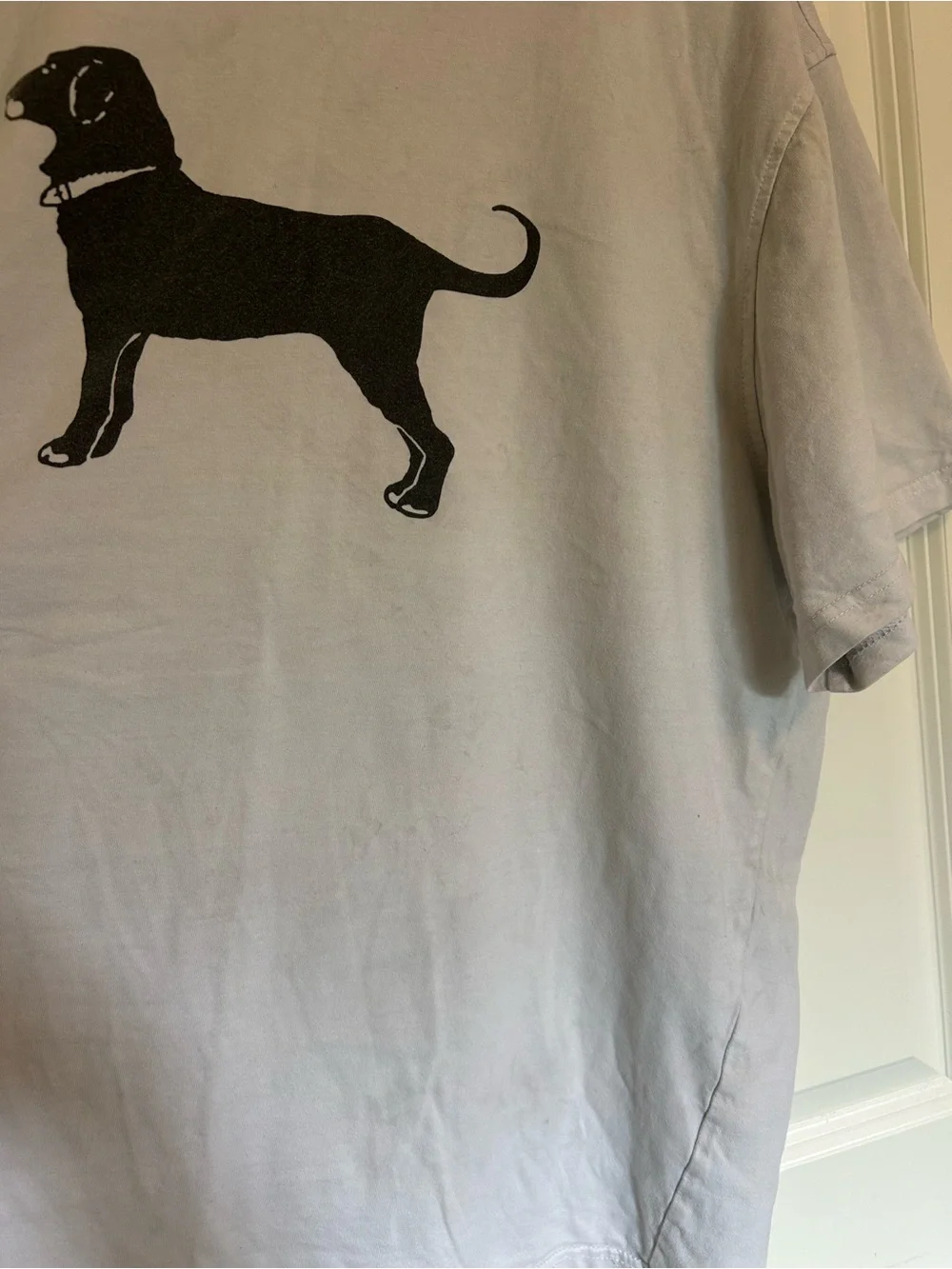 The Black Dog white T-shirt Marthas Vineyard 2023
